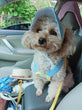 Comfort Cotton Harness & Leash Set – For Small Dogs, Cats & Bunnies