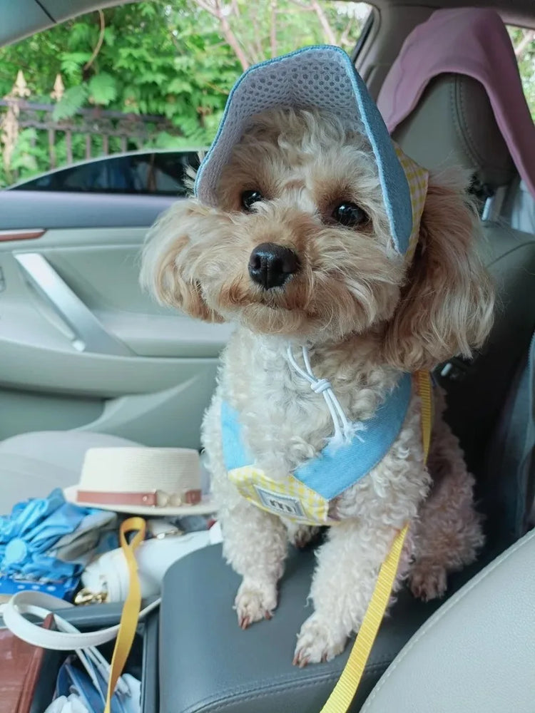 Comfort Cotton Harness & Leash Set – For Small Dogs, Cats & Bunnies