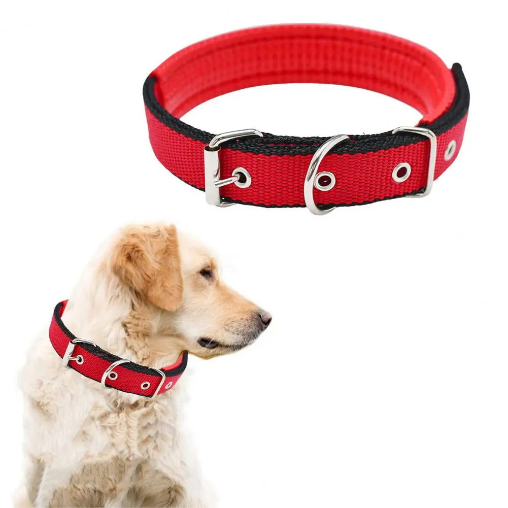 Adjustable Nylon Pet Collar with Traction Ring – Durable and Comfortable Dog Neck Strap