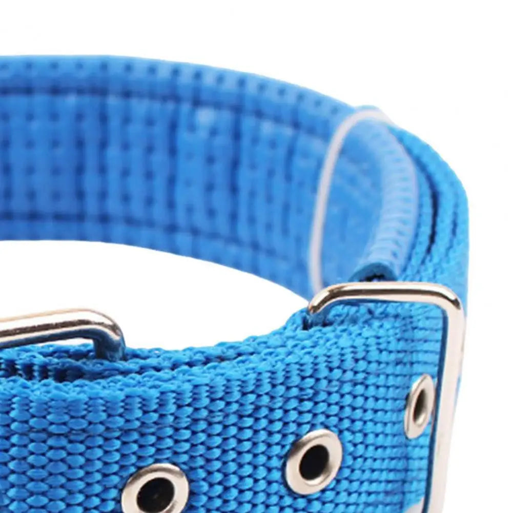 Adjustable Nylon Pet Collar with Traction Ring – Durable and Comfortable Dog Neck Strap