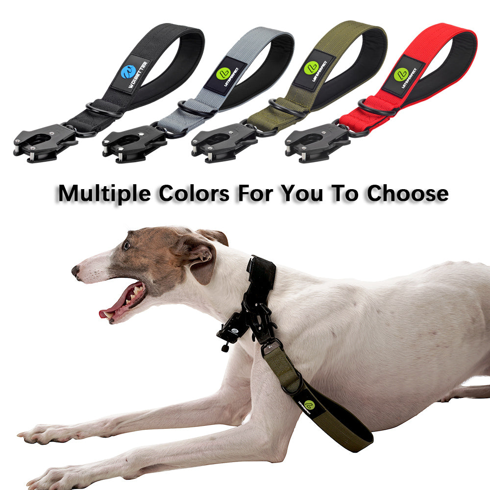Short Padded Traffic Lead for Dogs – Heavy-Duty Nylon Leash with Quick Release Clip