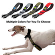 Short Padded Traffic Lead for Dogs – Heavy-Duty Nylon Leash with Quick Release Clip