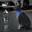 LED Luminous Dog Collar USB Charging Flashing Glowing Safety Anti-Lost Collar for Cats and Dogs          Ask ChatGPT