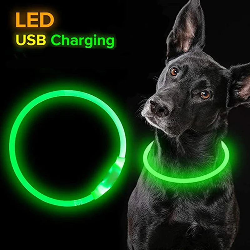 LED USB Rechargeable Dog Collar – Adjustable, Glowing Safety Collar for Pets