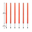 Outdoor Dog Obstacle Training Set – Agility Equipment for All Breeds