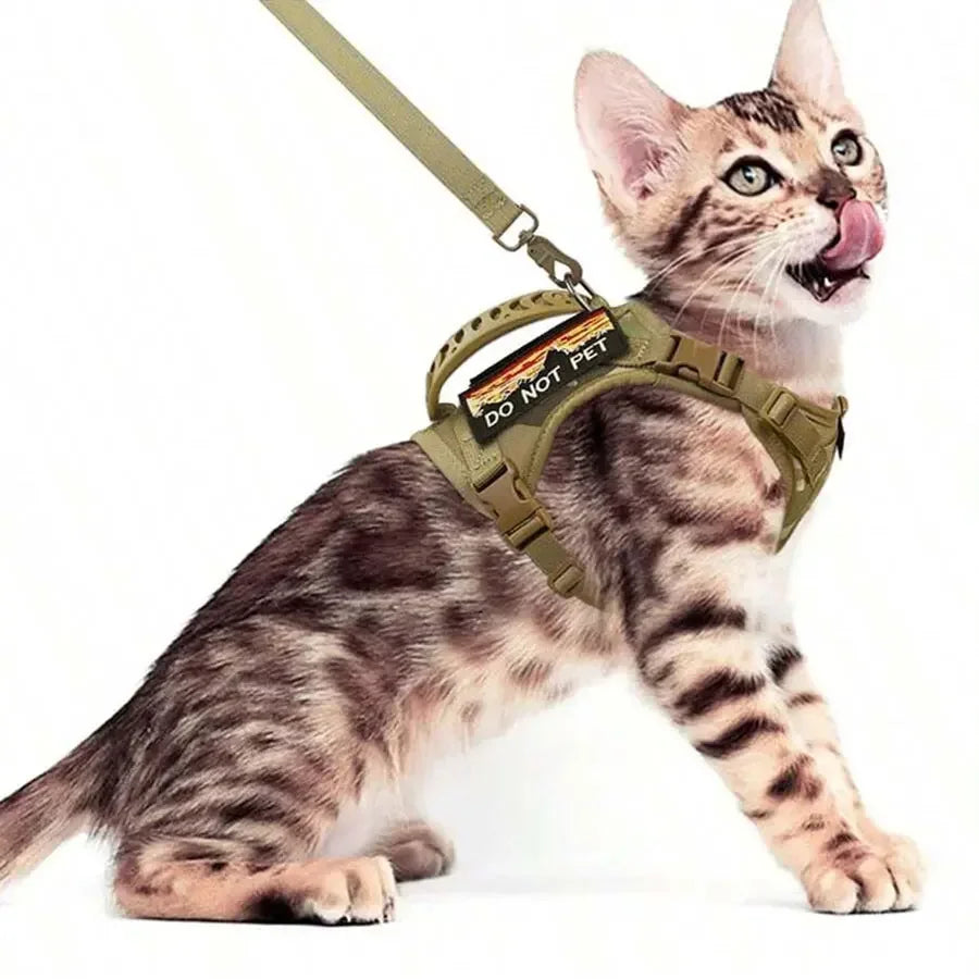 Outdoor Cat Vest | Waterproof Cat Clothes | Adjustable Cat Chest Strap | Special Walking Vest for Cats | Secure Outdoor Pet Harness
