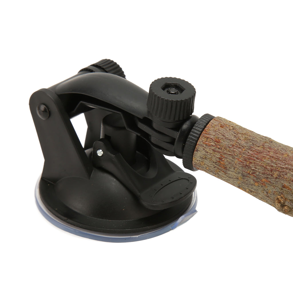 Wood Parrot Perch | Non-Slip Interactive Bird Window Perch with Suction Cups for Small to Medium Birds