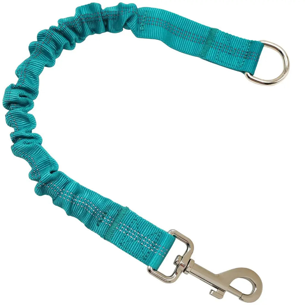 Shock Absorber Dog Leash – Heavy-Duty Elastic Bungee Training Lead for Medium Dogs