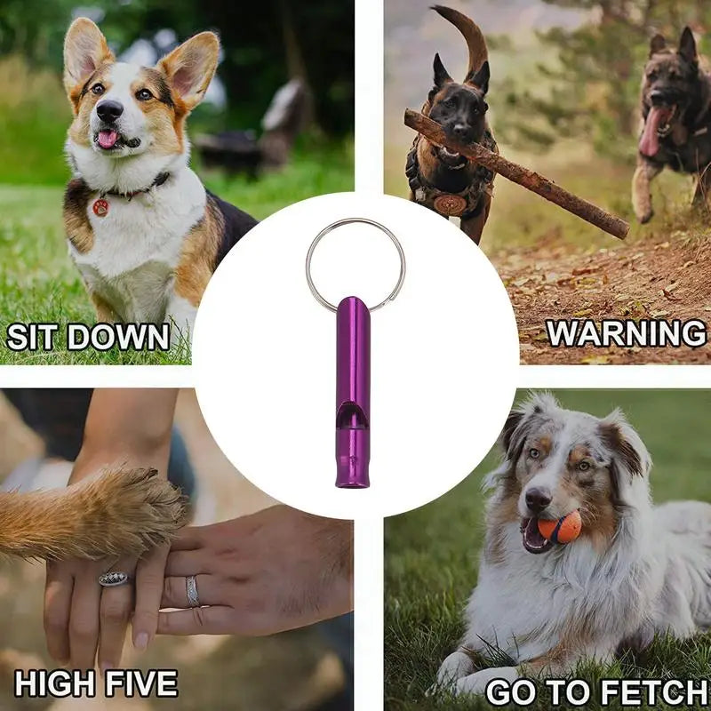 Ultrasonic Dog Training Whistle – Adjustable Frequency for Recall & Bark Control