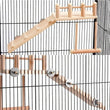 Bird Perches Platform Swing Climbing Ladder Toy | Parrot Cage Accessories | Wooden Playing Gyms for Birds | Exercise Stands Set