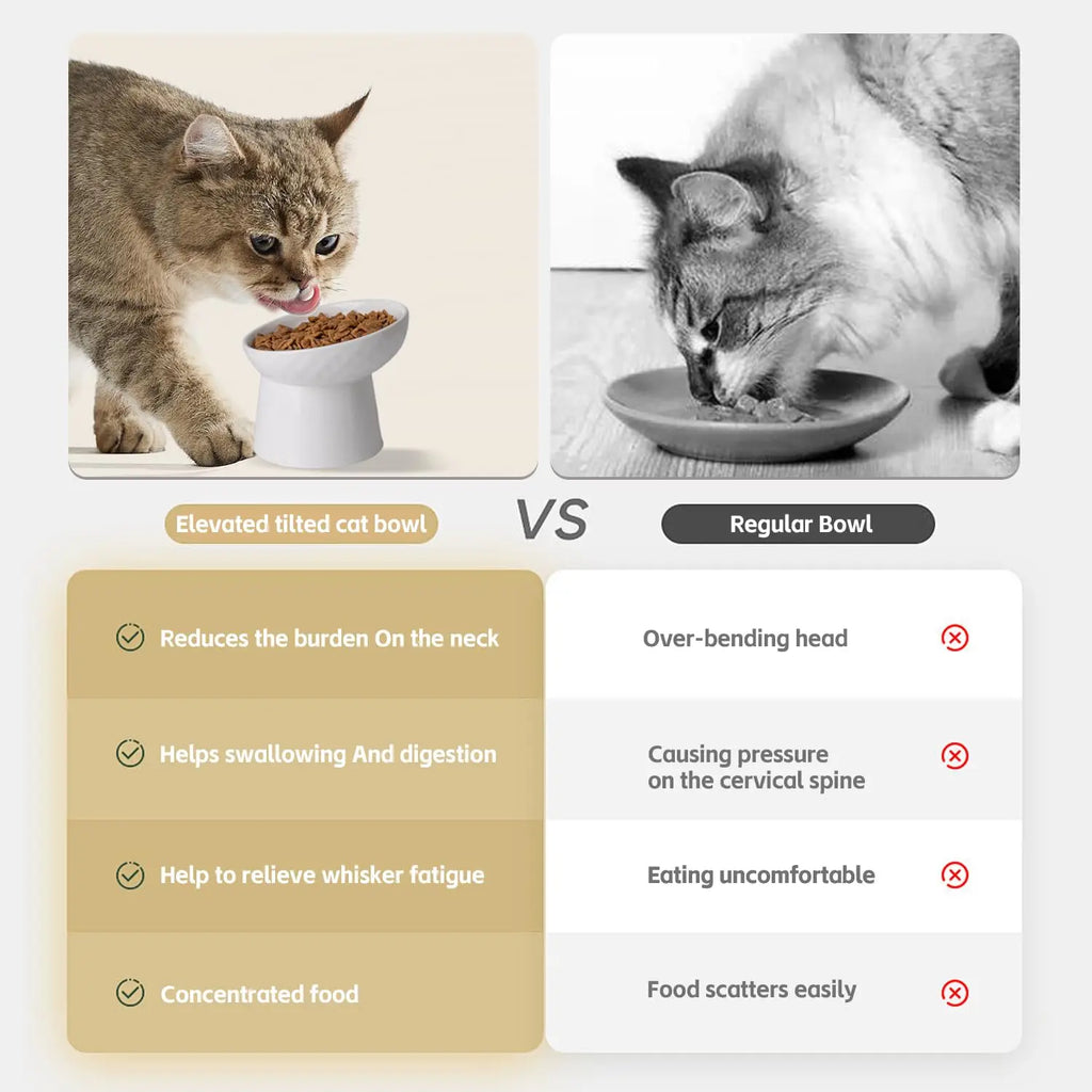 Ceramic Raised Cat Food Bowls | Tilted Elevated Cat Food Bowl Stress Free Backflow Prevention | Microwave Safe Dishwasher