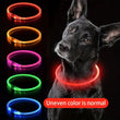 USB Rechargeable LED Luminous Dog Collar – Safety Glowing Night Collar with 3 Light Modes