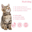Skin & Coat Cat Chews | Omega 3, Vitamin E, Biotin Supplements | Healthy Skin & Glossy Coat | Anti-Shedding Support | Salmon Flavor