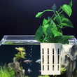 Fish Tank Hydroponic Plant Basket Household Water Grass Planting Wall-Mounted Plant Planting Basket Fish Tank Landscaping Decor