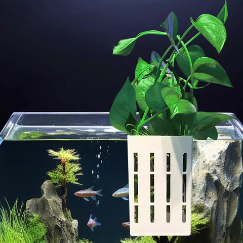 Fish Tank Hydroponic Plant Basket Household Water Grass Planting Wall-Mounted Plant Planting Basket Fish Tank Landscaping Decor
