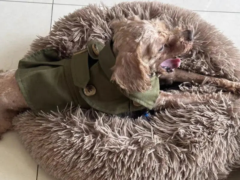 Pet Dog Clothes British Style Trench Coat Winter Thicken Jacket Coat Costumes Hoodies Clothes for Small Puppy Dogs Cat Clothing