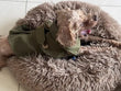 Pet Dog Clothes British Style Trench Coat Winter Thicken Jacket Coat Costumes Hoodies Clothes for Small Puppy Dogs Cat Clothing