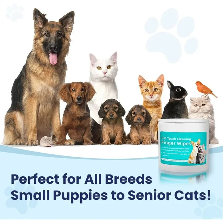 Cat Ear Wipes | Pet Ear & Eye Cleaning Finger Wipes | Remove Wax & Odor | 50 Wipes for Dogs/Cats