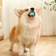 2023 NEW Electric Dog Toys | Smart Puppy Ball Toys For Cat | Small Dogs | Funny Auto Rolling Ball | Self-moving Puppy Games Toys | Pet Supplies