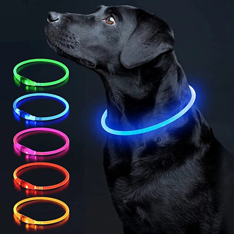 LED Luminous Dog Collar USB Charging Flashing Glowing Safety Anti-Lost Collar for Cats and Dogs          Ask ChatGPT