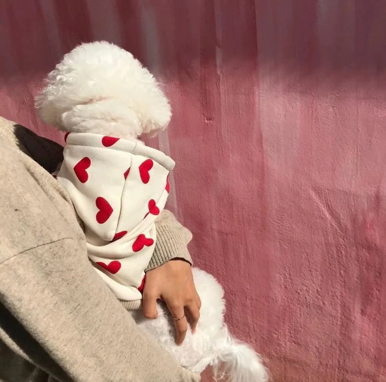 Warm Love Print Fleece Hoodie for Dogs & Cats | Pet Sweater for Small Pets | Autumn/Winter Wear