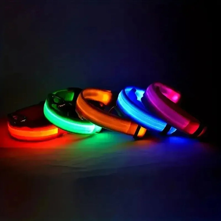LED Light-Up Dog Collar – High Visibility Safety Collar for Night Walks (Battery Powered)