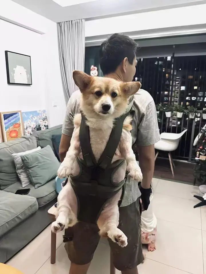 Chest Pet Bag Large Dog Backpack – Convenient and Comfortable Carrier for Medium Breeds