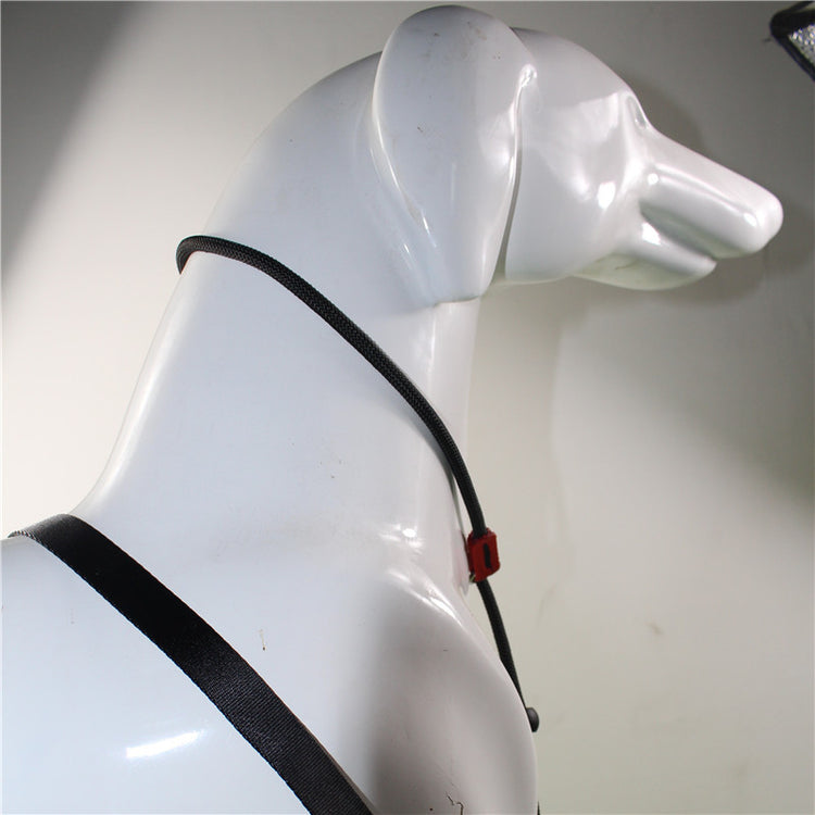 Dog Training Rope Leash – Control Lead for Medium and Large Dogs