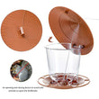 Bird Feeder | Automatic Foot Feeding Tool | Outdoor Bird Feeder Hanging Nut Feeding Multiple Hole Dispenser Holder Food Container