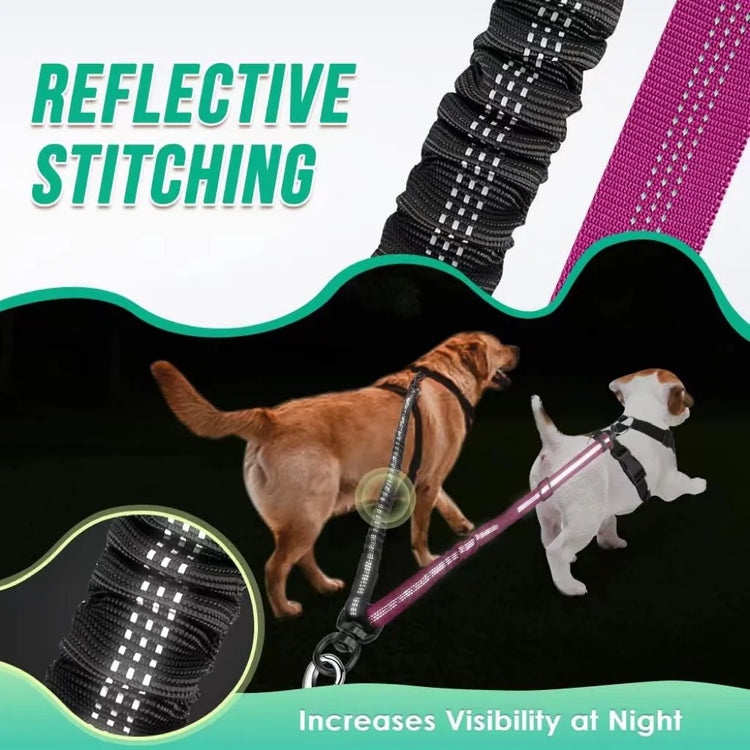 GOYN Upgraded Double Dog Leash with Shock Absorbing Bungee – Adjustable, Tangle-Free & Reflective