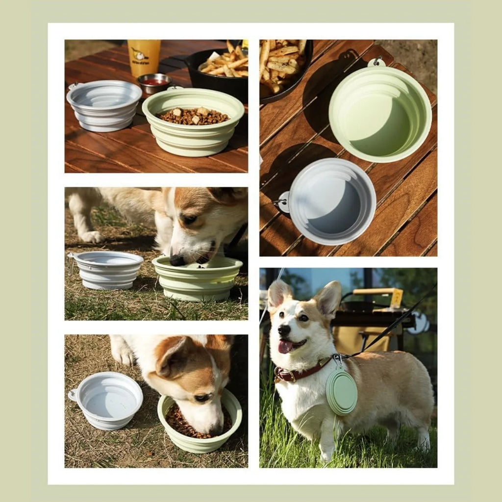 2pcs Collapsible Silicone Pet Bowls for Food & Water  | Outdoor Camping & Travel Portable Folding Supplies Dishes with Carabiner