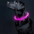 LED USB Rechargeable Dog Collar – Adjustable, Glowing Safety Collar for Pets