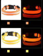 LED Light-Up Dog Collar – High Visibility Safety Collar for Night Walks (Battery Powered)