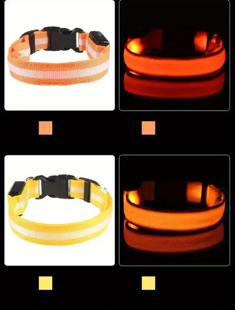 LED Light-Up Dog Collar – High Visibility Safety Collar for Night Walks (Battery Powered)