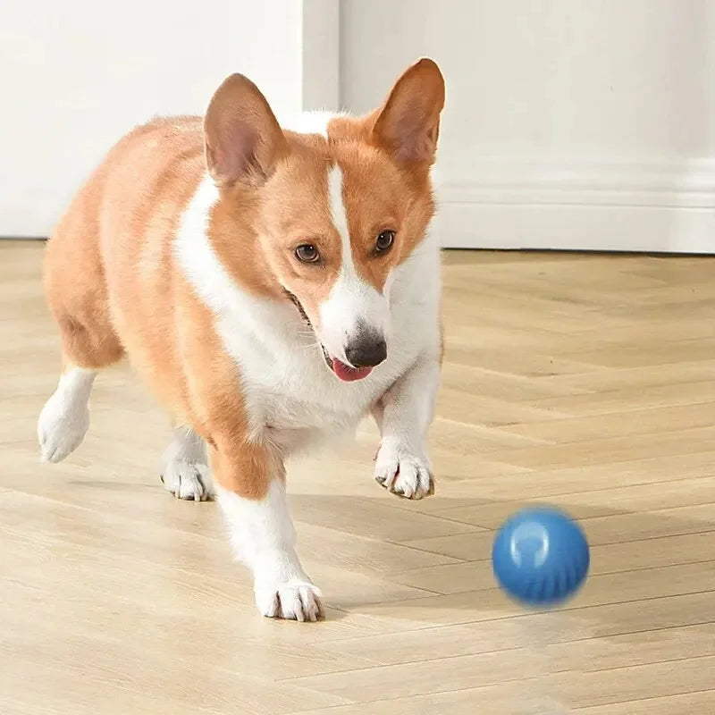 Smart Electronic Dog Toy Ball | USB Automatic Moving & Bouncing Pet Toy | Interactive Puppy Gift | Cat/Dog Products