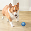 Smart Electronic Dog Toy Ball | USB Automatic Moving & Bouncing Pet Toy | Interactive Puppy Gift | Cat/Dog Products