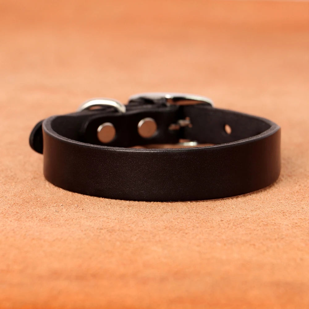 Genuine leather dog collar and leash set – durable and comfortable for small to medium dogs