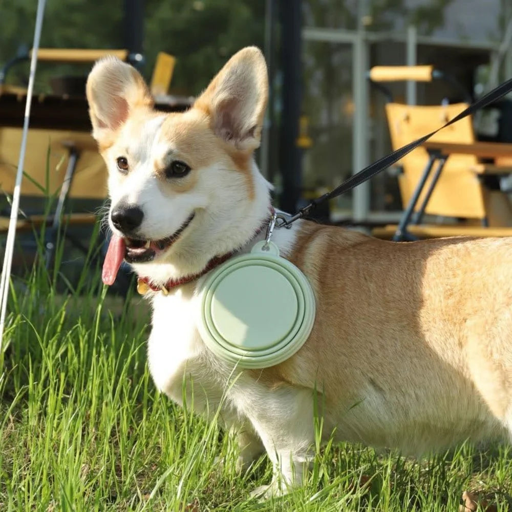 2pcs Collapsible Silicone Pet Bowls for Food & Water  | Outdoor Camping & Travel Portable Folding Supplies Dishes with Carabiner