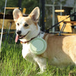 2pcs Collapsible Silicone Pet Bowls for Food & Water  | Outdoor Camping & Travel Portable Folding Supplies Dishes with Carabiner