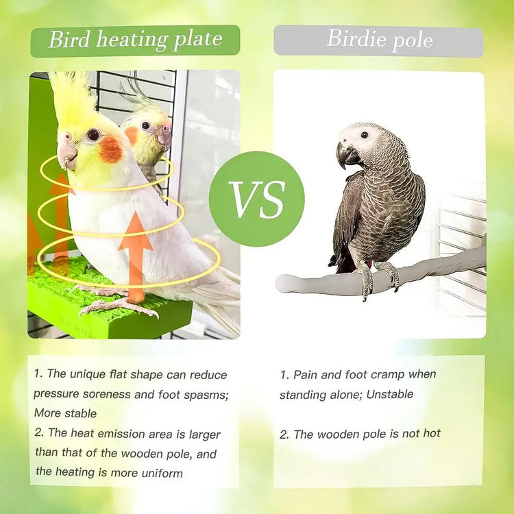 Bird Cage Heated Perch Platform – Snuggle-Up Parrot Warmer with Anti-Bite Cord | Automatic Bird Heater for Budgies & Small Cage Birds