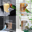 Automatic No-Spill Transparent Bird Feeder | Can Be Hung or Placed on Desktop | Ideal for Small & Medium Parakeets