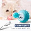 Smart Electronic Dog Toy Ball | USB Automatic Moving & Bouncing Pet Toy | Interactive Puppy Gift | Cat/Dog Products