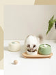 1.3L Ceramic Cat Water Fountain | USB Rechargeable Pet Water Dispenser | Automatic Circulating Filter for Cats & Small Dogs