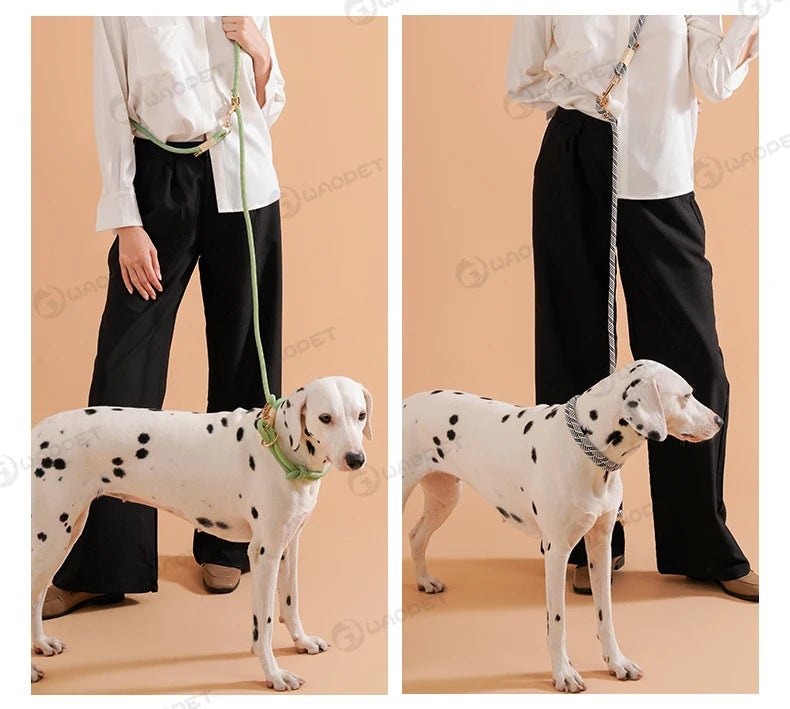 Striped Nylon Rope Dog Collar Slip-On Quick Release Personalized Collar for Small to Large Dogs