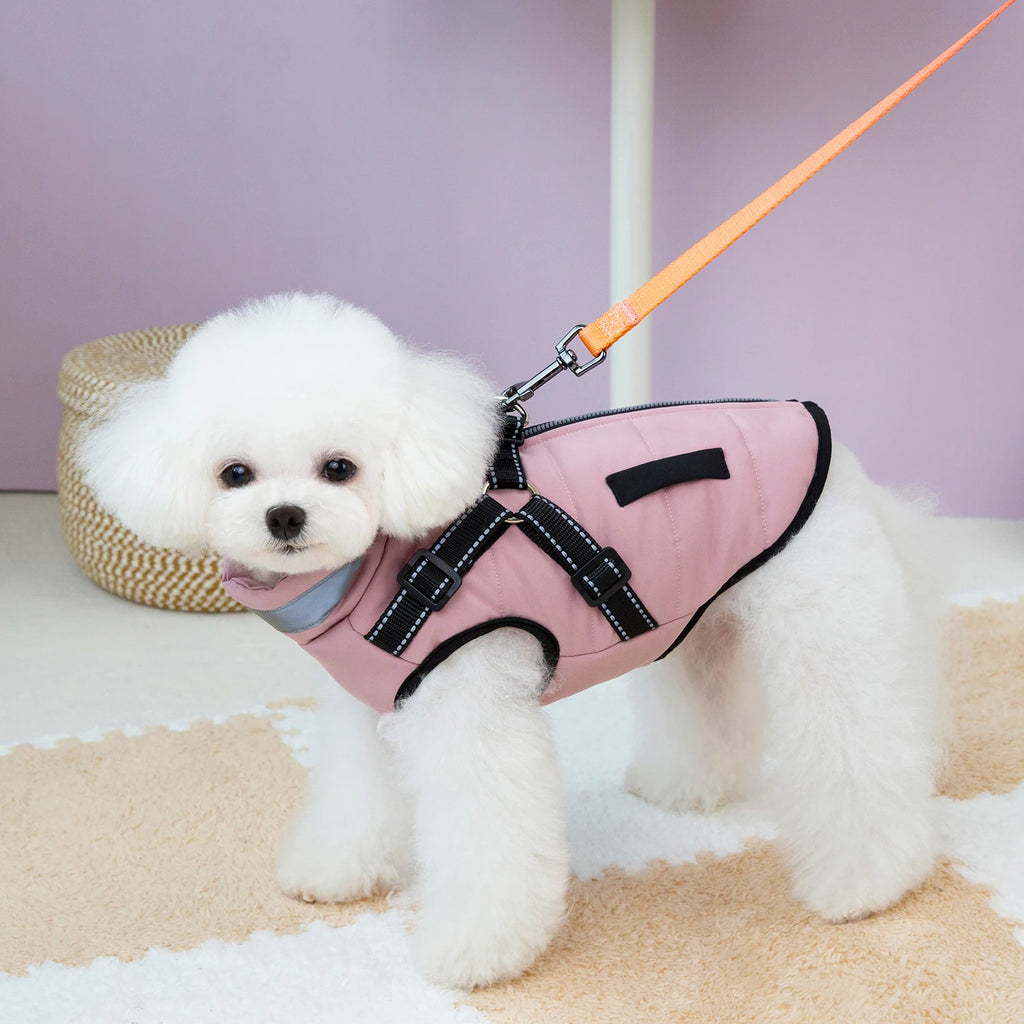 Warm Winter Clothes for Small & Medium Dogs | Windproof Puppy Jacket Vest | Chihuahua, French Bulldog & Yorkie Outfit