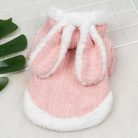 Lovable Winter Clothes for Cats/Small Dogs | Two-Legged Corduroy Cartoon Outfit | Warm Cotton Coat for Hairless Cats/Puppies
