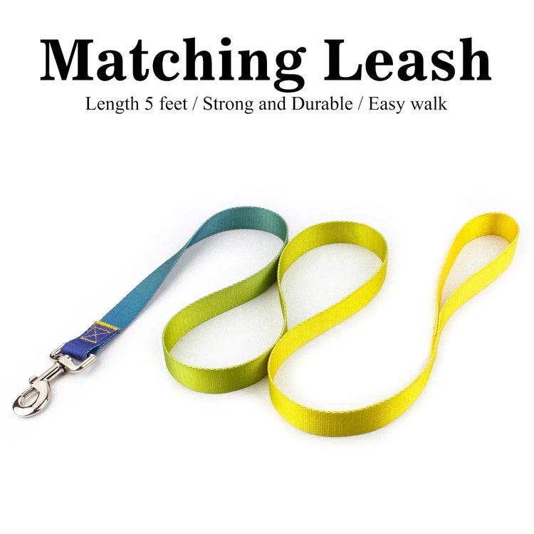 Adjustable Dog Collar & Leash Set – Personalized Nylon Traction Lead for Small to Large Dogs