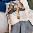 British Style Winter Trench Coat for Small Puppies | Thick Warm Dog Jacket & Hoodie
