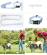 Adjustable Dog Collar & Leash Set – Personalized Nylon Traction Lead for Small to Large Dogs