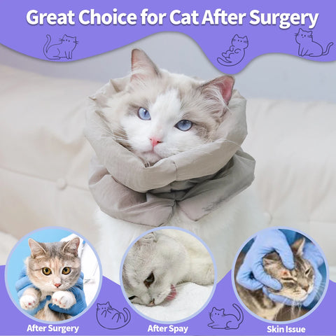 Colorful Warm Cat Collar| Waterproof Scarf Style | Anti-Lick & Bite Protective Collar for Post-Surgery | Stylish Recovery for Cats